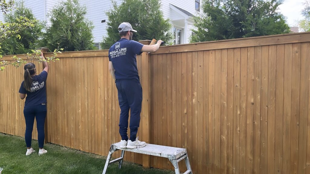Painters applying wood stain to a privacy fence in Fairfield, CT with a warm natural finish and refreshed cedar tone